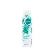 Insette Body Spray Women Mixed Case 150ml