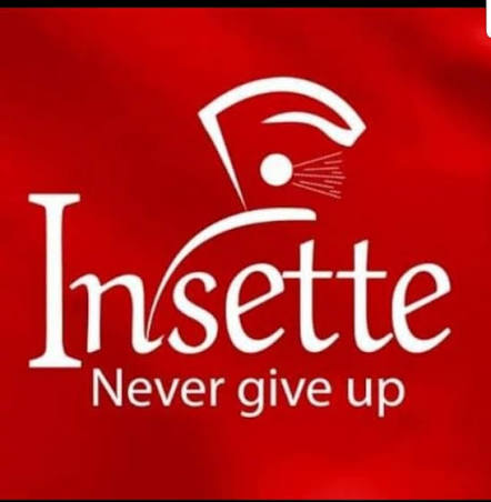 Insette